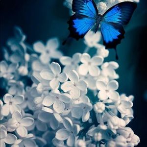 Meet your Posher, Yulianne